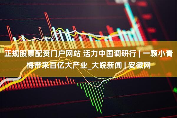 正规股票配资门户网站 活力中国调研行 | 一颗小青梅带来百亿大产业_大皖新闻 | 安徽网